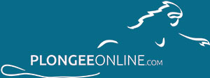 plongee_online.jpg