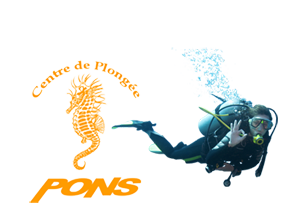 Au-plongeur-dabord-2.png?1516806580