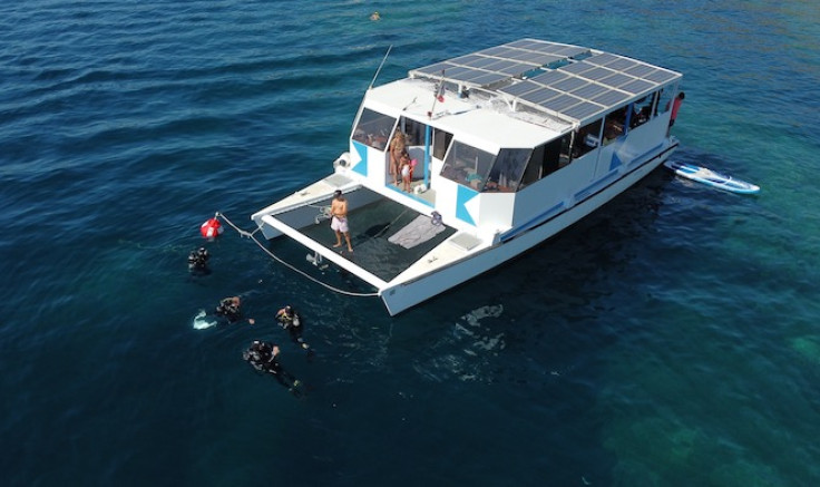 Sortie apnée à Port Vendres 28-29 juin 2025