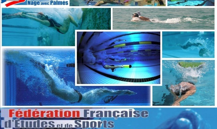 formation d'initiateur Nage avec Palmes