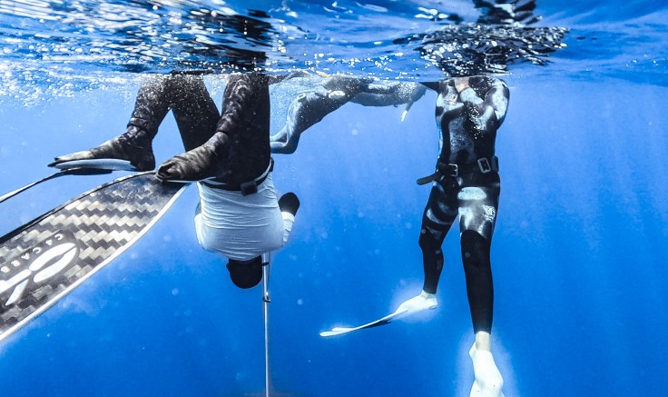 Stage Technique Apnée – Banyuls | 8 au 10 mai 2026