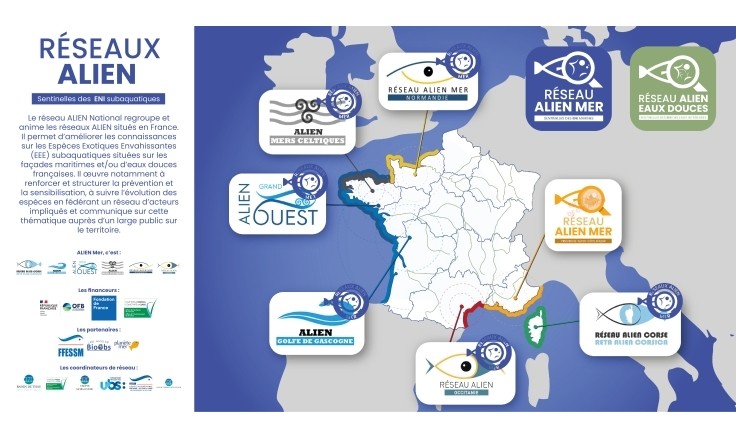 Retour Webinaire Alien Occitanie 6 novembre 2025