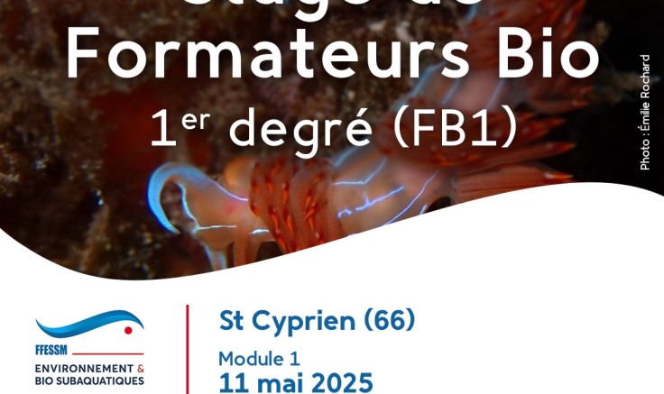Formation FB1 à St Cyprien